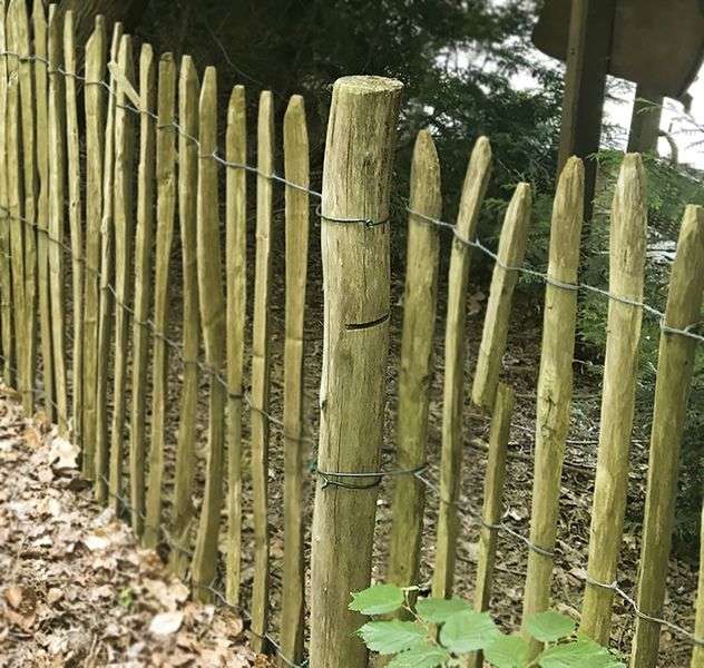 Palissade en bambou