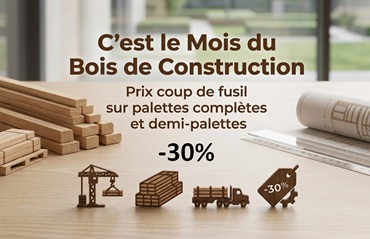 pool house en bois